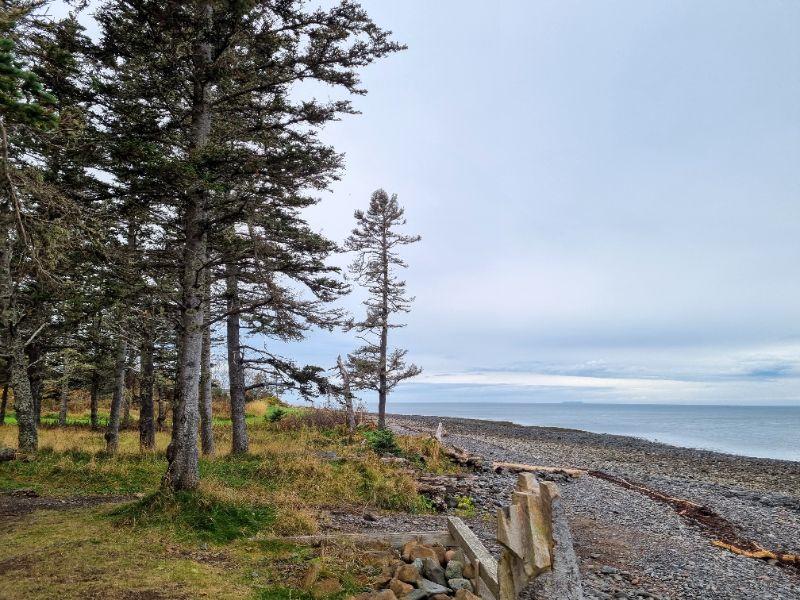 Strandidylle am Bay of Fundy.jpg