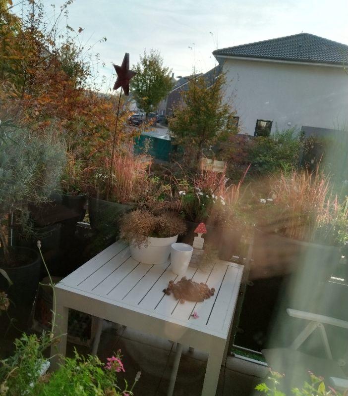 Balkon-herbstlich_IMG_20241026_094159.jpg