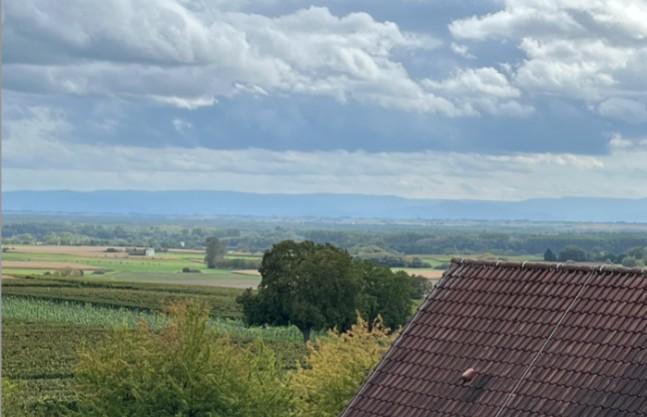 Weintor-Ausblick.jpg