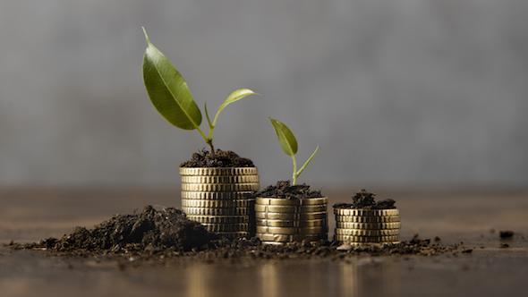 stacked-coins-with-dirt-and-plant.jpeg