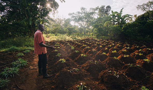 Das_Hunger_Projekt_Uganda_01.jpg