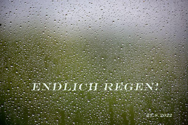 _MG_2188 Endlich Regen.jpg