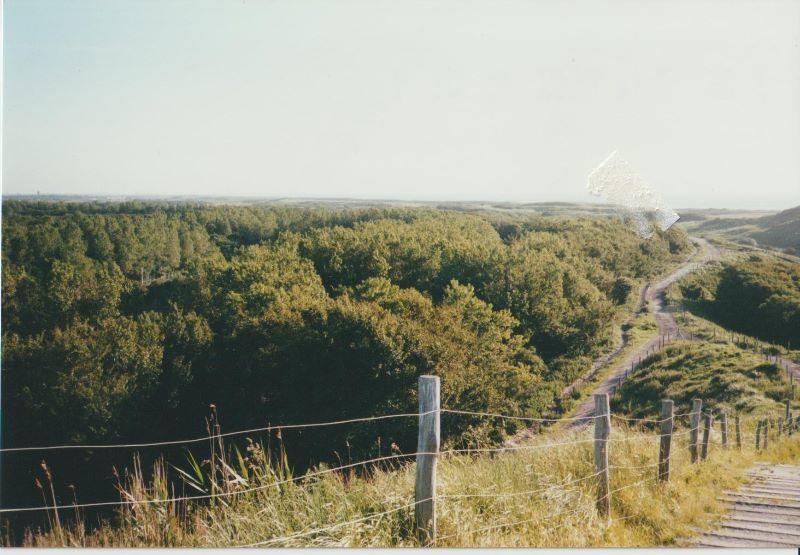 Bild (12) Fahrradweg.jpg