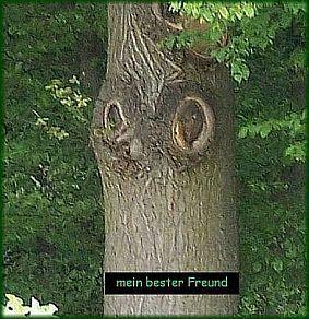 mein bester Freund.jpg