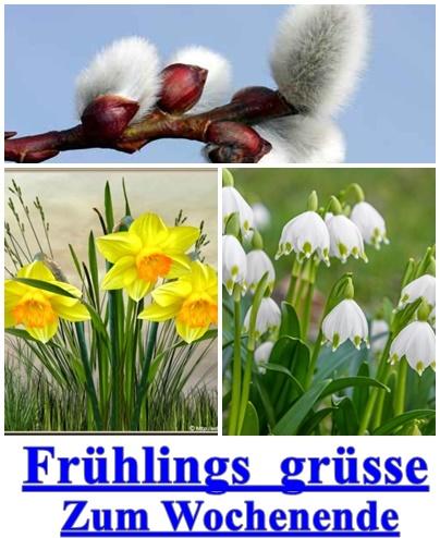 -Frühling 2.jpg