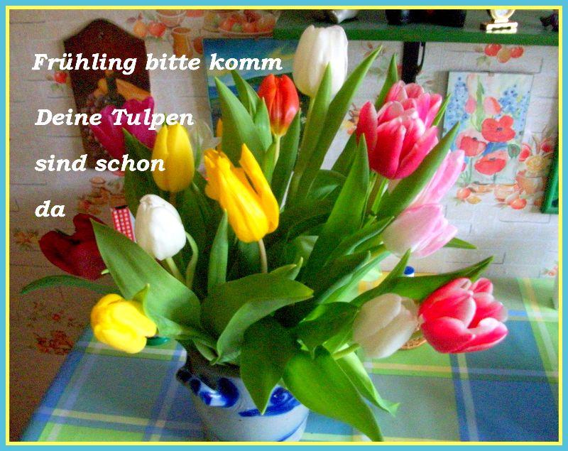 Tulpen.jpg