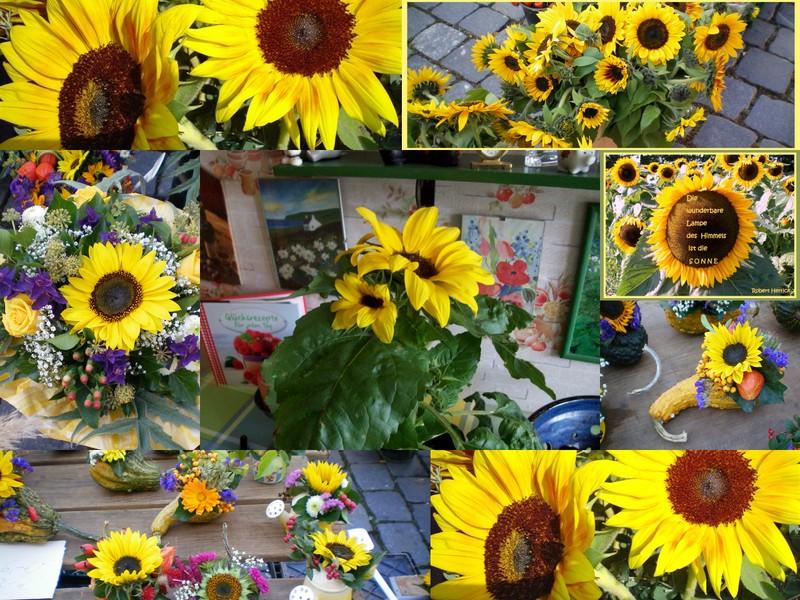 Sonnenblumen.jpg