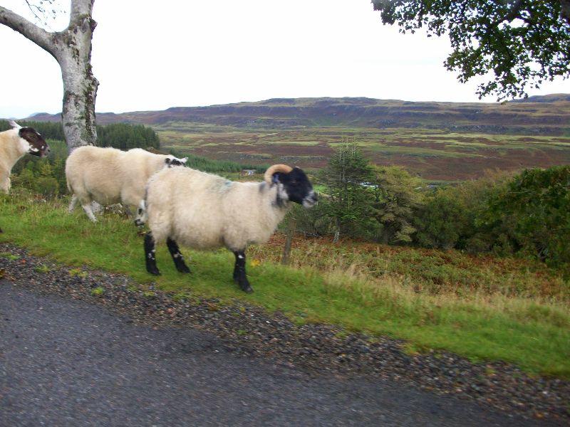 Schottland Sept.2012 116.jpg