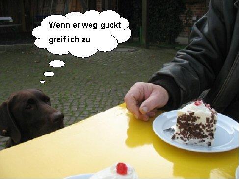 kuchen1.jpg