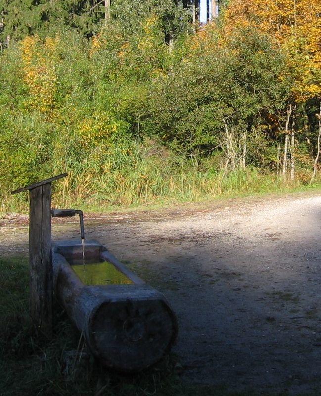 Benediktenwand 10.10.05 009.jpg