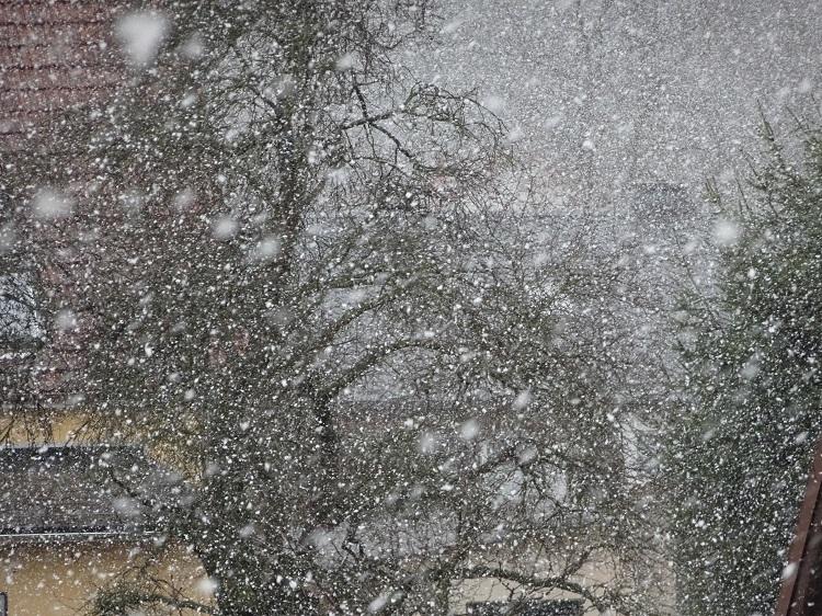 Schneegestöber im März.JPG