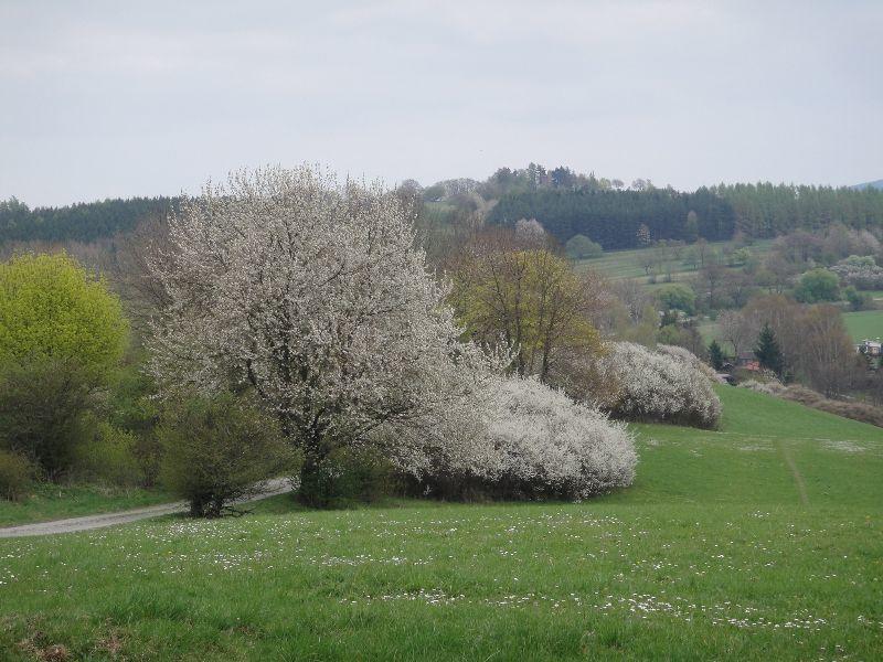 Frühlingslandschaft.jpg