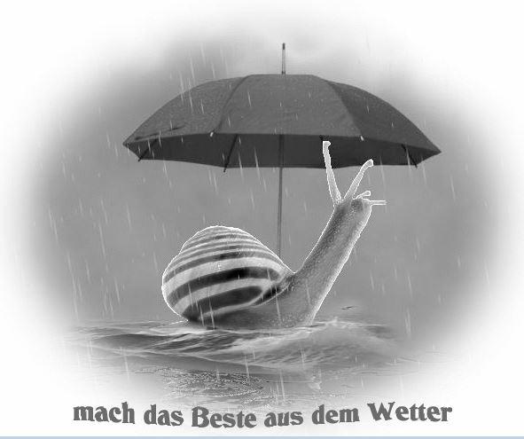 Regenschirm.JPG