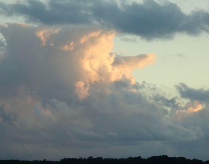 Wolke, Zwerg Nase.JPG