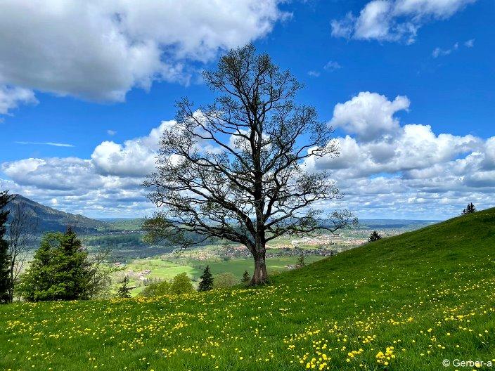 während einer Wanderung.jpg