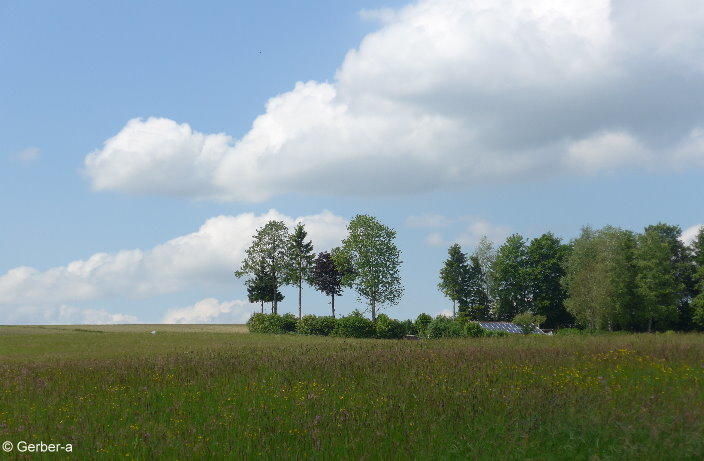 bei Türkenfeld.JPG