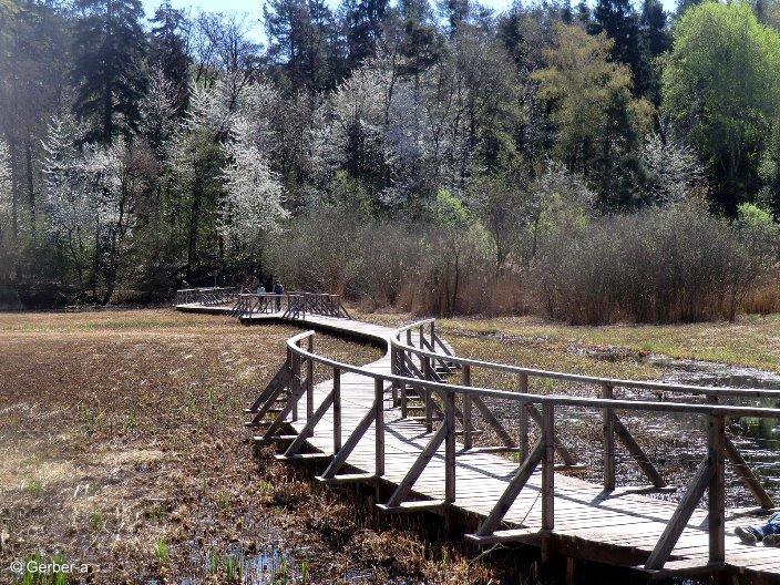 Irgendwo bei einer Wanderung.jpg