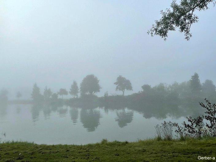 Eichenauer See im Nebel.jpg