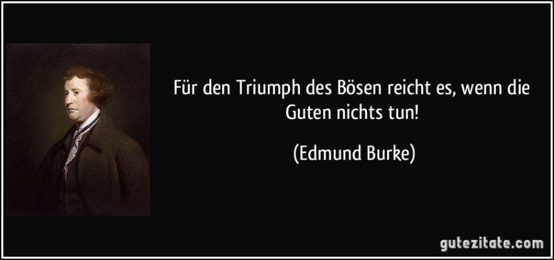 zitat-fur-den-triumph-des-bosen-reicht-es-wenn-die-guten-nichts-tun-edmund-burke-102819.jpg