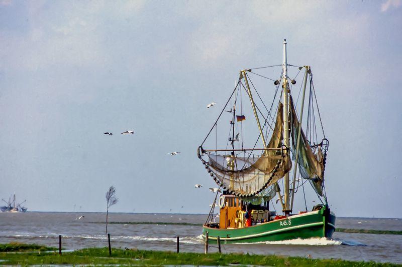 1987 Greetsiel (13).jpg