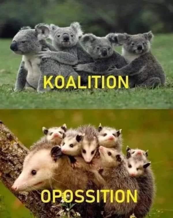 koalition.jpg