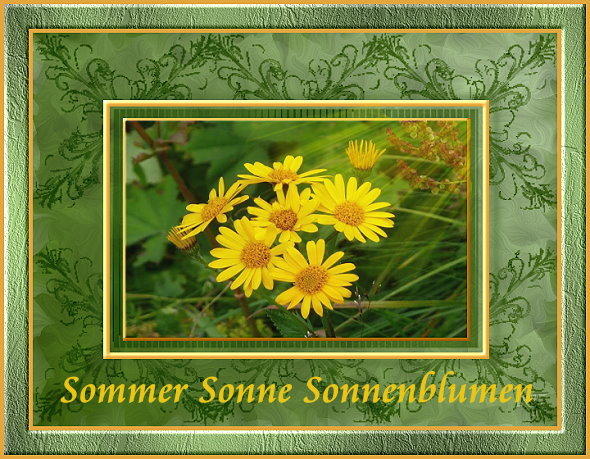 Sonnenblumen.jpg