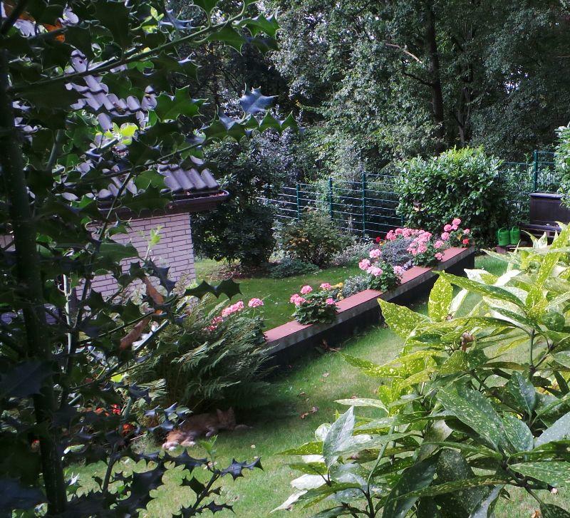 Hinterm Friedhof, Spaziergang im September 2014 029.jpg