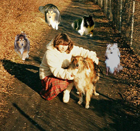 Kalinka und ich und meine 4 Sheltie's.jpg