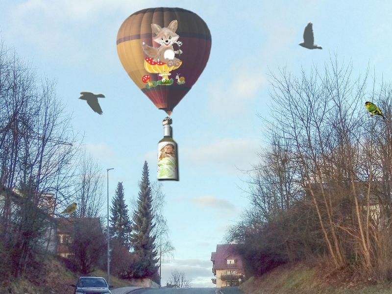 Ballon in Pegnitz gesichtet mit Weinflasche.jpg