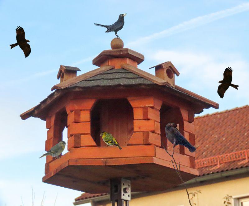 Vogelhaus ausgebucht.jpg