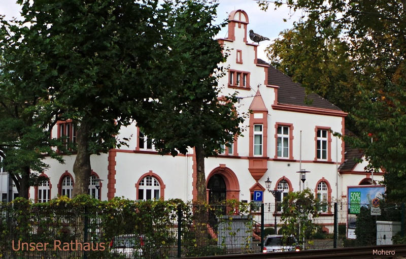 Rathaus September 2014 046 mit Taube.jpg