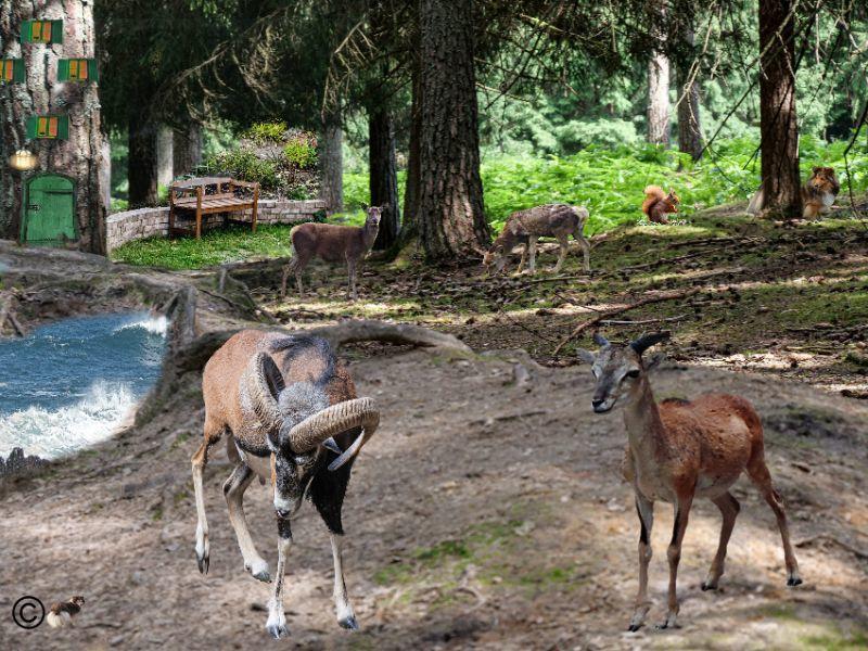 Baum Wildtiere.jpg