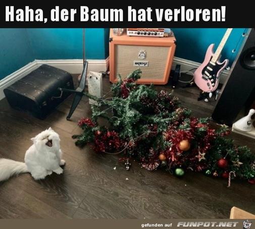 Der_Baum_hat_verloren 8.12..jpg