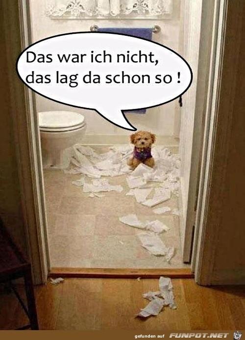 Das_war_ich_nicht 17.12..jpg