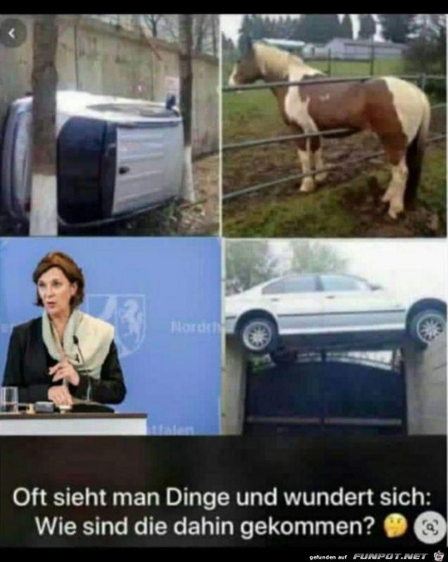 Oft_sieht_man_Dinge 19.12..jpg