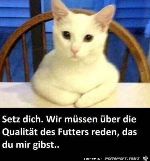 Wir_muessen_uebers_Futter_sprechen 26.12..jpg