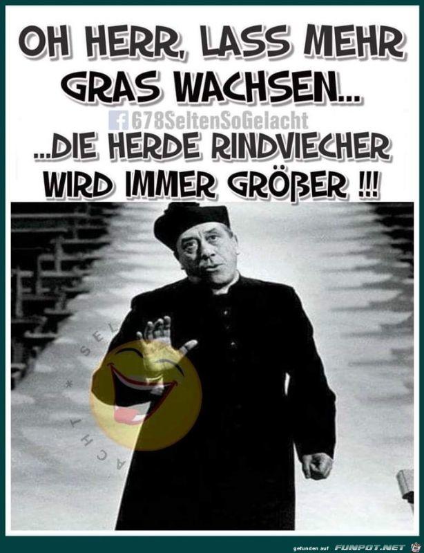 Oh_Herr_lass_mehr_Gras_wachsen 31.12..jpg