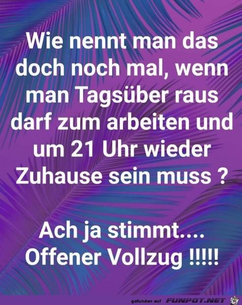 Offener_Vollzug 8.1.21.jpg