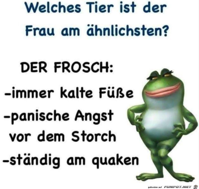 Der_Frosch 30.1.21.jpg