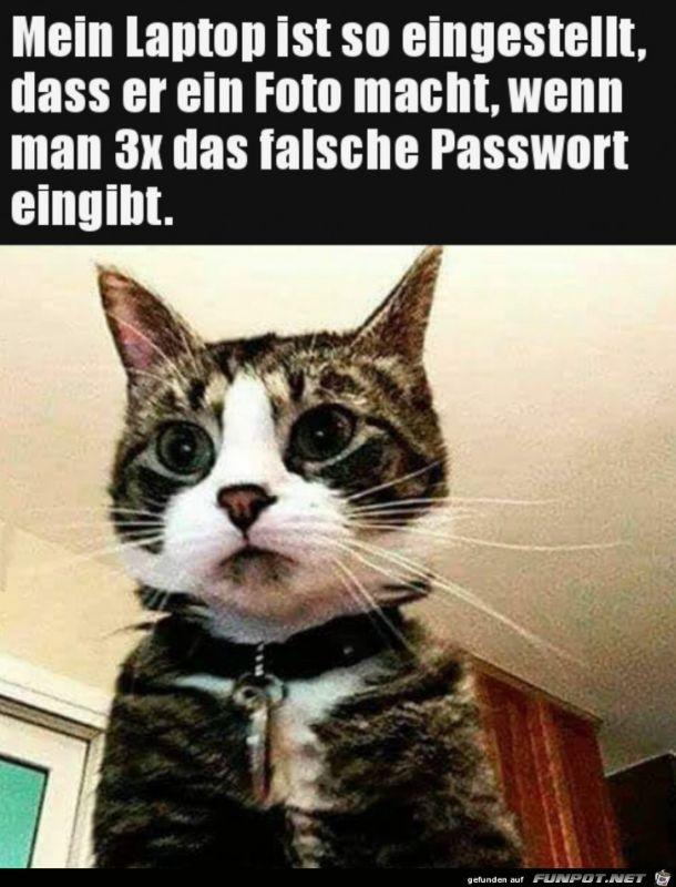 Ups_Passwort_falsch_eingegeben 11.2..jpg