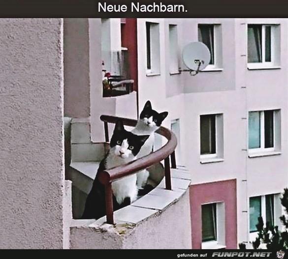 Neue_Nachbarn 18.2..jpg