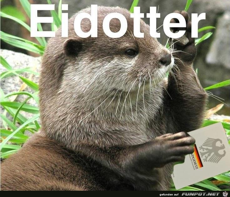 Eid-Otter 3.2..jpg