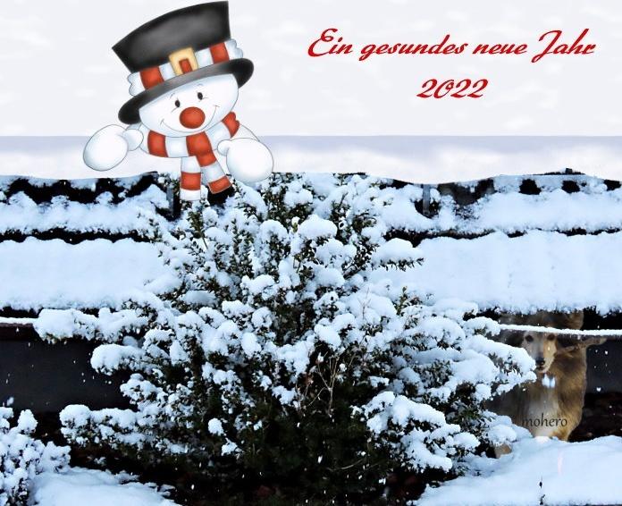 Mit Schneemann ins neue Jahr 2022.jpg