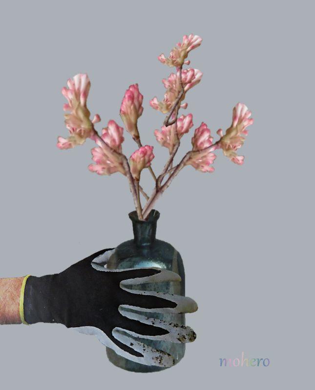 Handschuh mit Vase.jpg