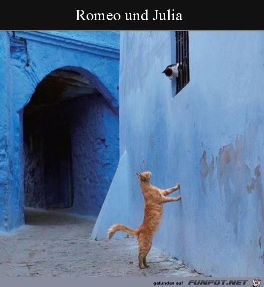 Romeo_und_Julia.jpg