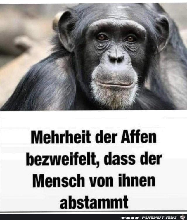 Mehrheit.jpg