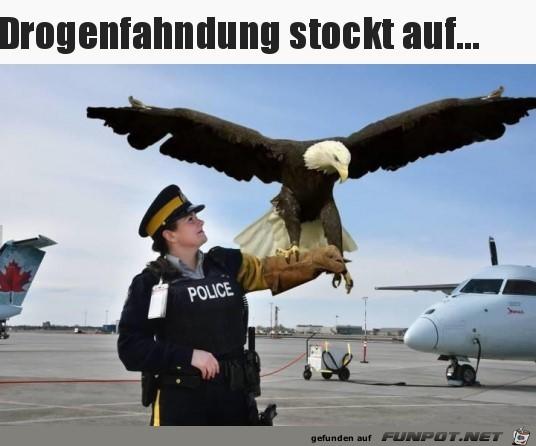 Drogenfahndung_stockt_auf.jpg