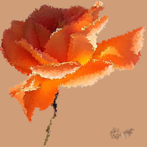 Rose in orange.jpg