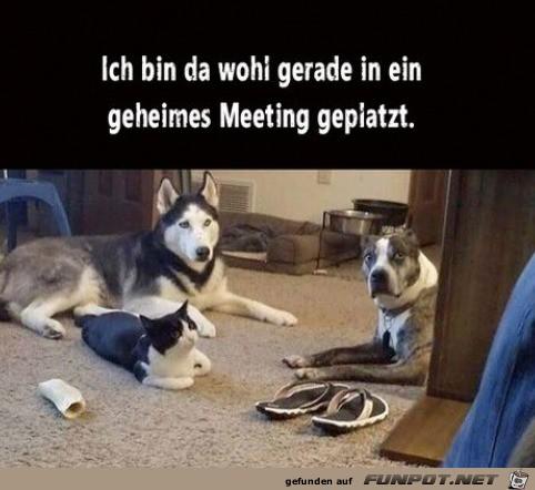 Geheimes_Meeting.jpg