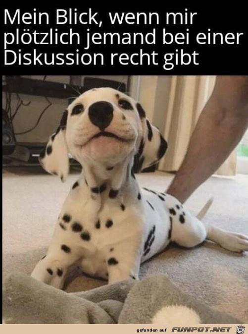 Dieser_Blick.jpg